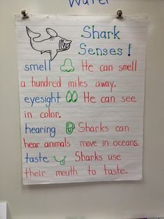 a poster with words written on it that read,'what is the shark? '