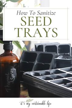 seed trays and bottles with text overlay how to sanitize seed trays