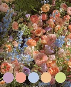 a bunch of flowers that are in some kind of color scheme with different colors to choose from