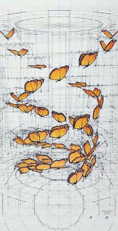 a drawing of many orange butterflies flying in the air with lines above them and on top of each other