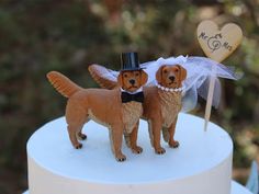 two brown dogs standing on top of a white cake