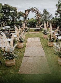 an outdoor ceremony setup with chairs and aisle decorated with pamodia, pamodia flowers and greenery