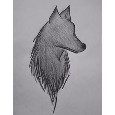 a pencil drawing of a wolf's head