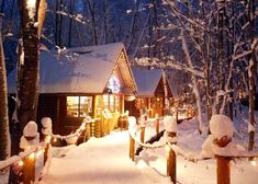 a cabin in the woods is lit up with christmas lights