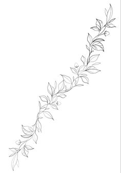 a black and white drawing of leaves on a branch