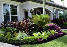 a house with lots of plants in the front yard and landscaping on the side of it