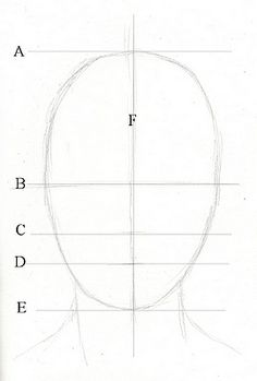 a drawing of the head with lines drawn to show it's shape and features