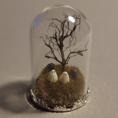 there is a glass dome with two birds in it and a tree on the inside