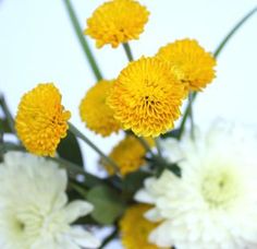 a bunch of yellow and white flowers in a vase