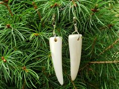 two long white tooth shaped earrings hanging from a tree branch with pine needles in the background