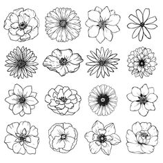 flowers drawn in black and white on a white background, with the outlines for each flower