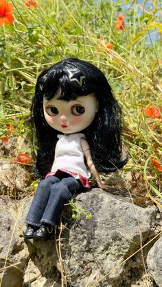 a doll sitting on top of a rock next to some grass and red poppies