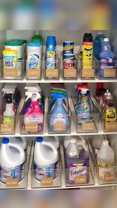 a refrigerator filled with lots of cleaning products