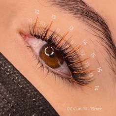 Map Eyelash Extensions, Hybrid Lash Map, Eyelash Extensions Care, Eyelash Extensions Classic, Extensions Lashes, Lashes Fake Eyelashes