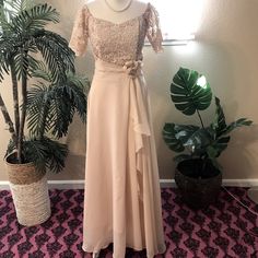 a dress on display in front of a potted plant