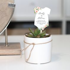 a small potted plant with a baby's t - shirt tag on it