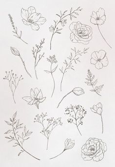 a bunch of flowers that are drawn in pencil