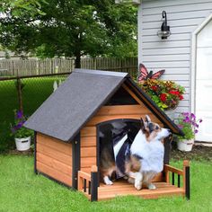 a dog is sitting in its kennel outside