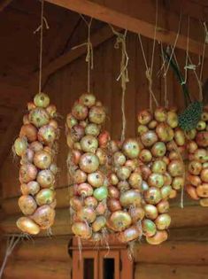 some kind of food hanging from the ceiling in a room with wood walls and ceilings