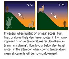 the diagram shows how deer can be seen in different directions