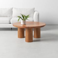 a living room with a couch, table and potted plant on the coffee table