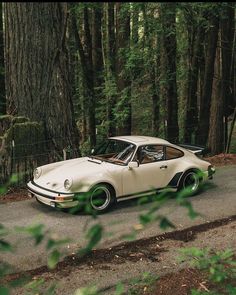 a white car parked on the side of a road in front of some tall trees