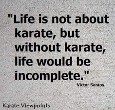 a quote on life is not about karate, but without karate, life would be incomplete