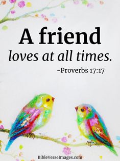 two colorful birds sitting on top of a tree branch with the words, a friend loves at all times