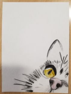 a pencil drawing of a cat's face with yellow eyes and black nose, on white paper