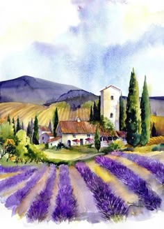 a watercolor painting of lavender fields with a church in the background