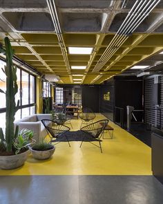 an office with yellow flooring and plants in the center, along with black walls