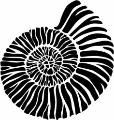 a black and white image of a shell on a white background with the word,