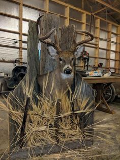 a sculpture of a deer with antlers on it's head is in the process of being made