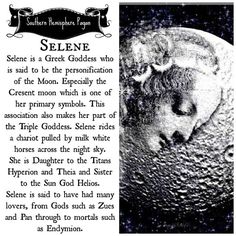 an image of a woman's head with the words selene written below it