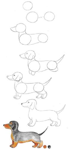 a drawing of a dachshund dog with different shapes and sizes on it