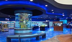 a large fish tank in the middle of a room with blue lighting on the ceiling