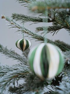 a green and white striped ornament hanging from a christmas tree's branch