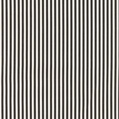 a black and white striped wallpaper with vertical lines on the bottom half of it