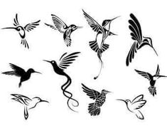 a bunch of birds that are flying in the air