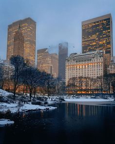 the city skyline is lit up at night with snow on the ground and trees in the foreground