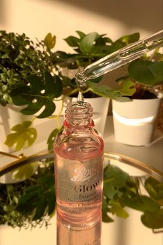 a glass bottle filled with water sitting on top of a table next to potted plants