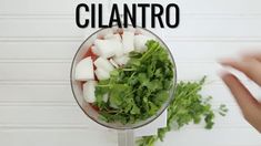 a hand holding a blender filled with vegetables and the words cilantro in front of it