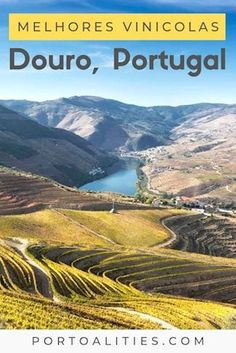 the douro valley with text overlay that reads best vineyards in douro valley