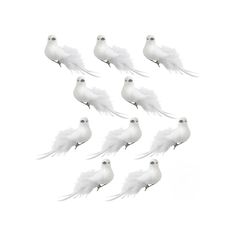 six white birds are flying in the air