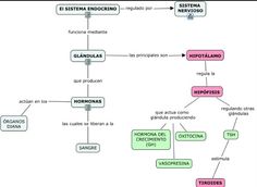 a flow chart with several different types of items in it, including the name and number of