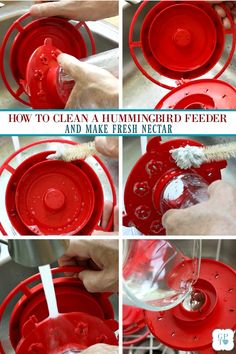 how to clean a hummingbird feeder and make fresh nectar