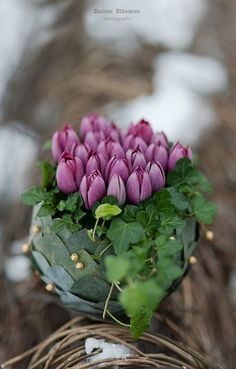 a bunch of purple flowers sitting in a wicker basket on top of snow covered ground