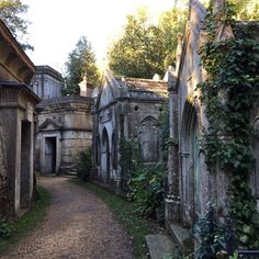 an old cemetery with ivy growing on it's walls and stone buildings in the background