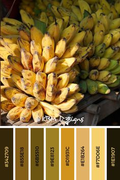 a bunch of bananas sitting on top of each other in front of color swatches