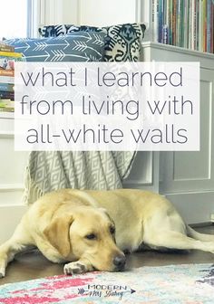 a dog laying on the floor in front of a bookshelf with text overlay that reads, what i learned from living with all - white walls